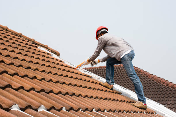 Professional Roofing and repair in Lander, WY